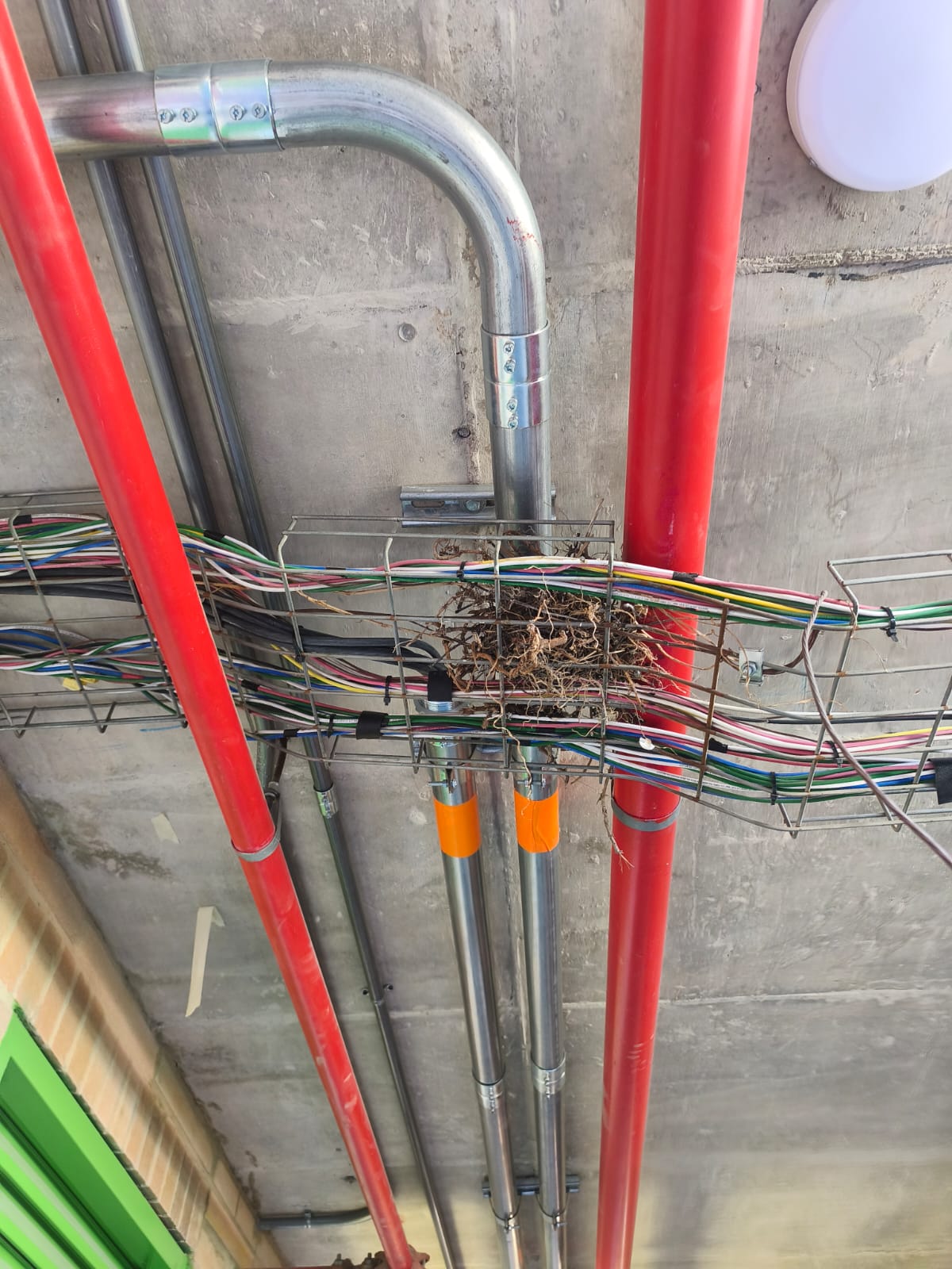 Ingeniería eléctrica - foto 117